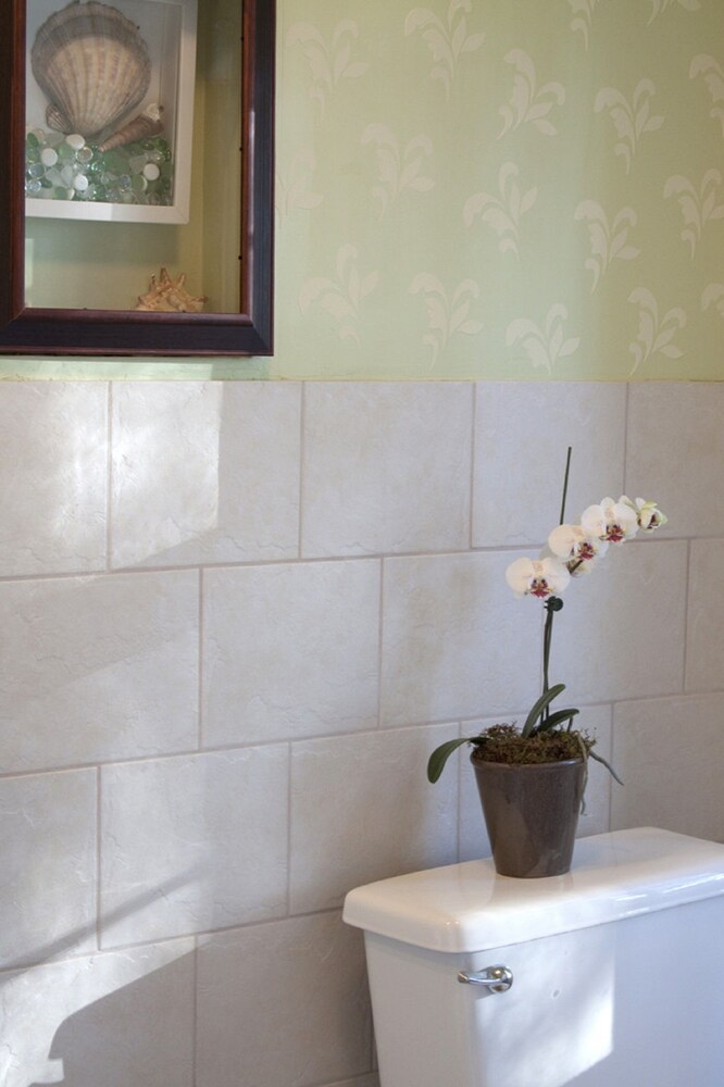 The Scranton Seahorse Inn - photo 18