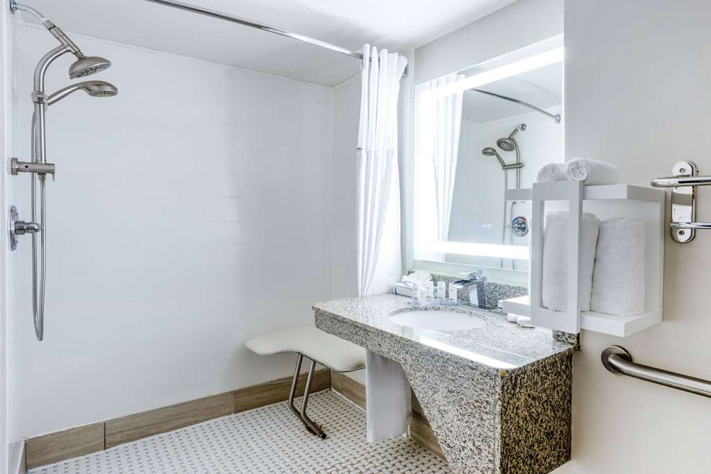 Wingate by Wyndham Atlanta Galleria Ballpark - photo 9