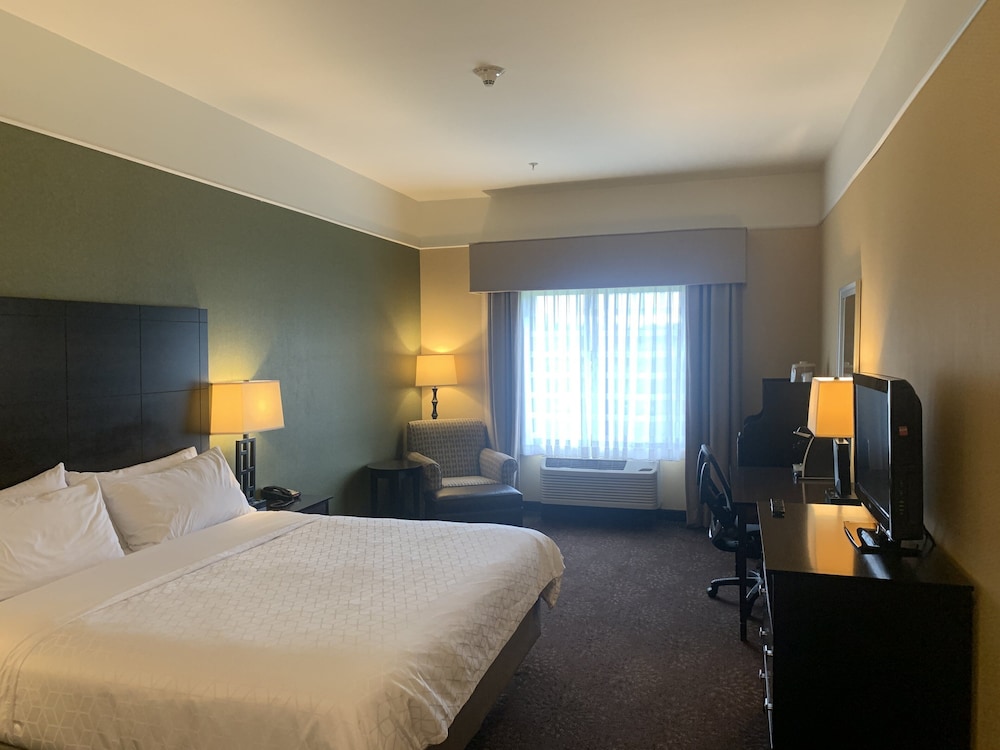 Holiday Inn Express Hotel & Suites Lansing Dimondale by IHG - photo 5