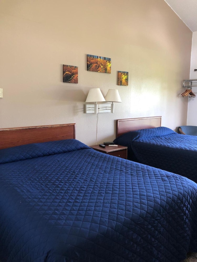 Blue Moon Resort and Motel - photo 8