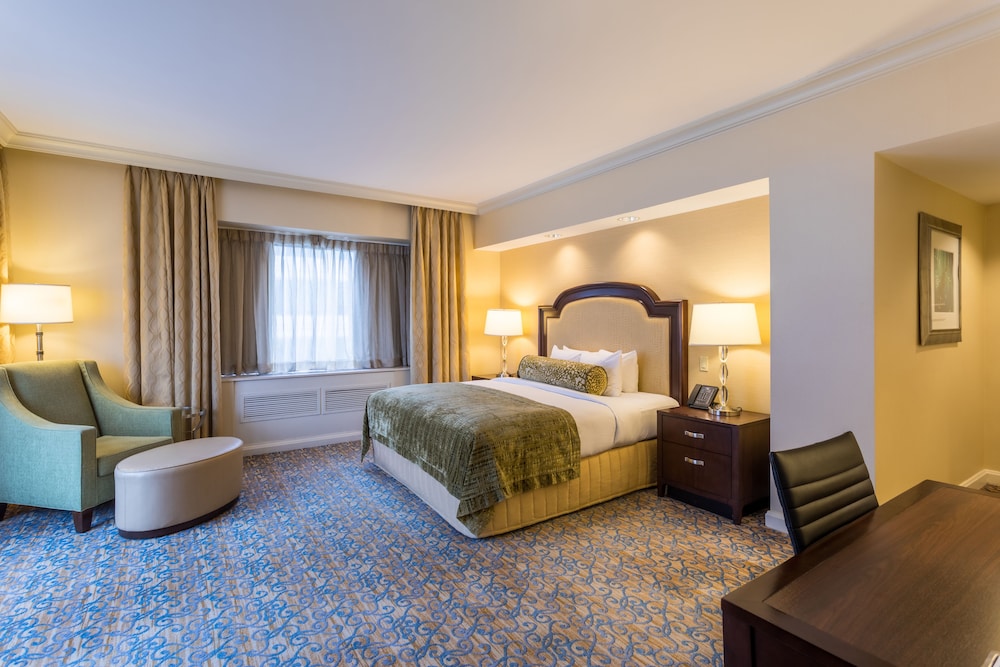 Capital Hilton - photo 9