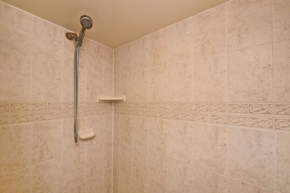 Mahana Resort #1104 1 Br Condo - photo 20
