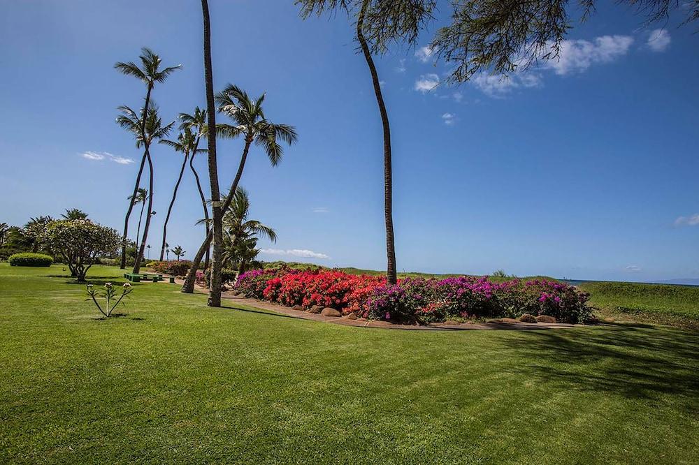 Koa Resort - photo 2