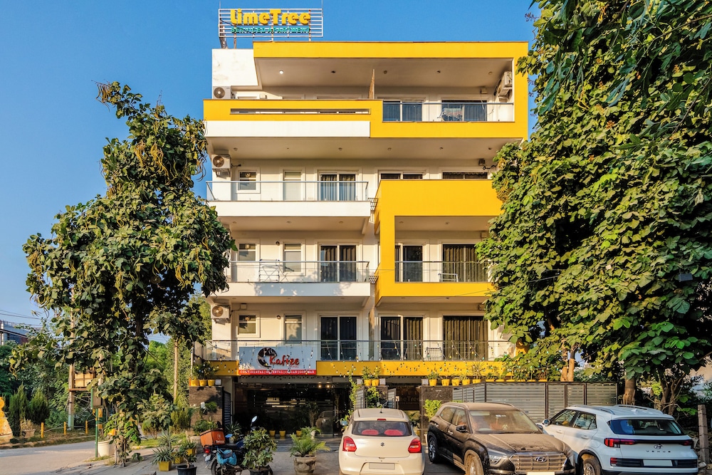 Lime Tree Luxury Studio - carbon neutral hotel in Gurgaon