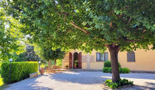 Le Case dell’Olmo — Assisi — photo 3