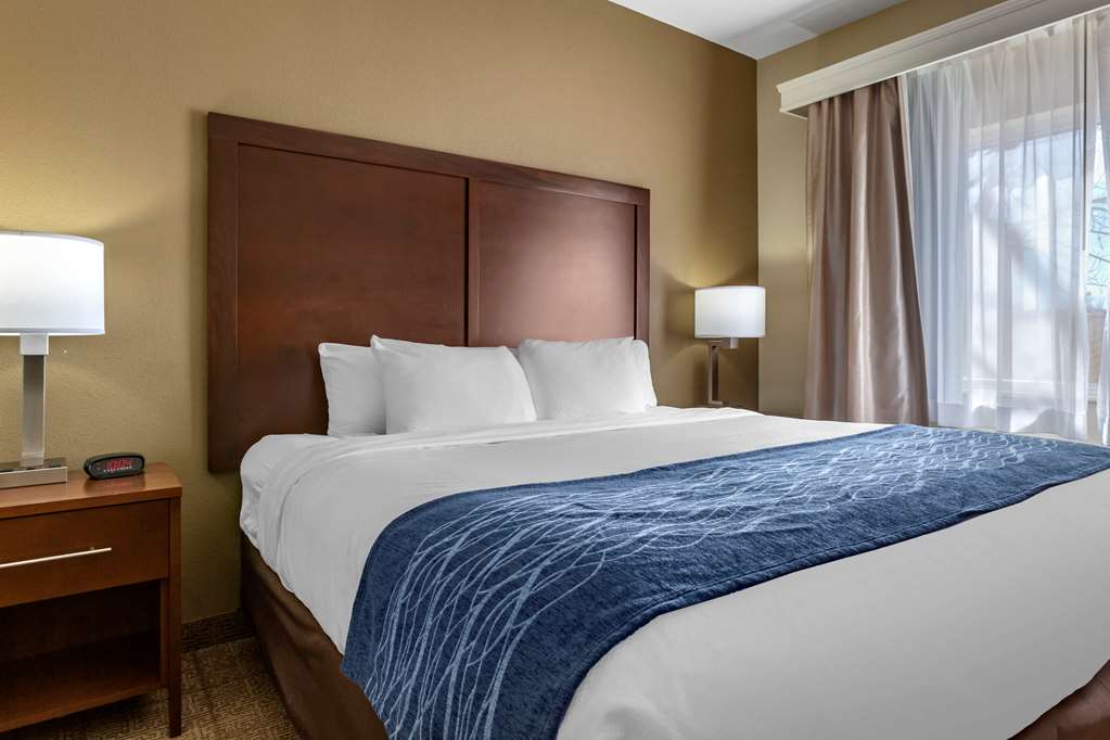 Comfort Inn & Suites Alameda at Albuquerque Balloon Fiesta Park - photo 20