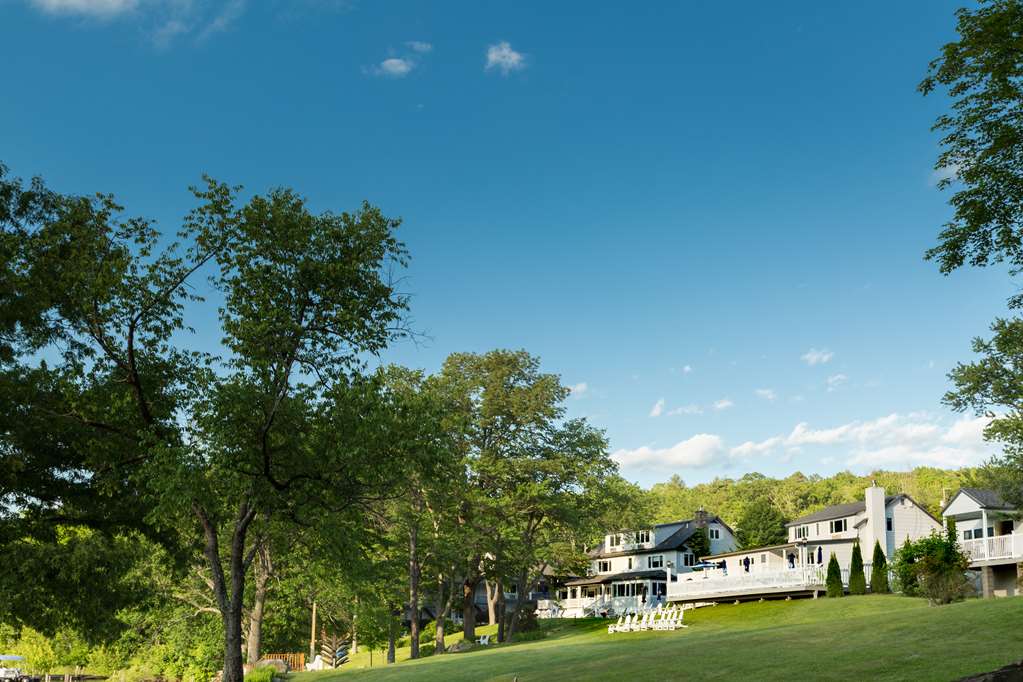 Silver Birches - photo 4