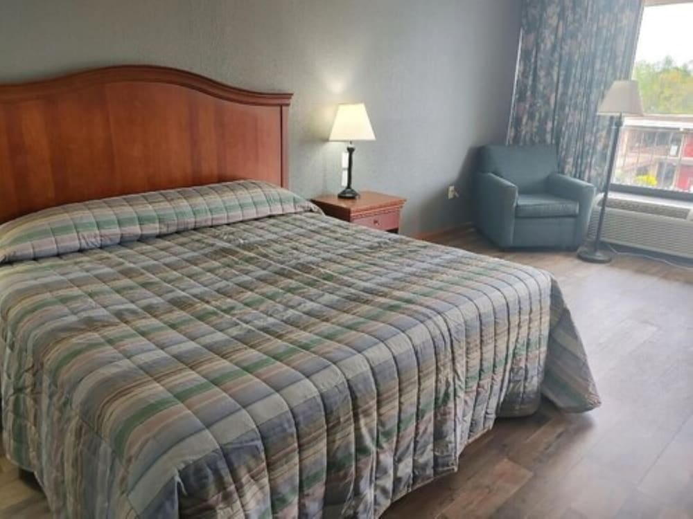 Paris Inn and Suites - photo 8