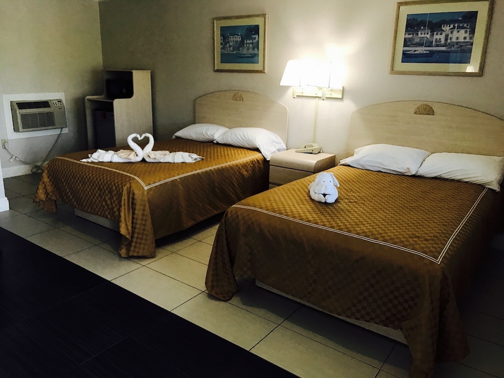 Apollo Inn Motel - photo 5