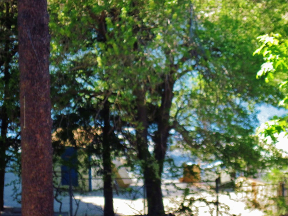 The North Shore Inn - photo 104