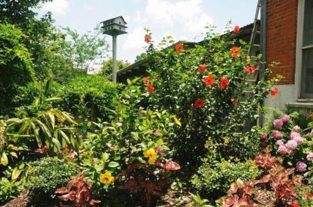 Old Castillo Bed and Breakfast - photo 14