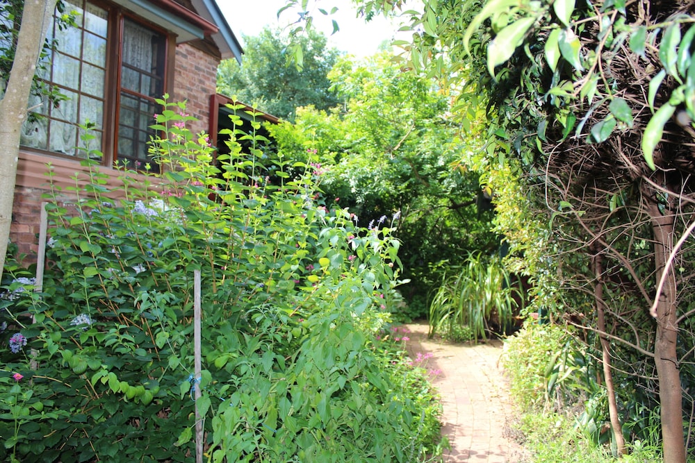 Storey Grange — hotel in Springwood