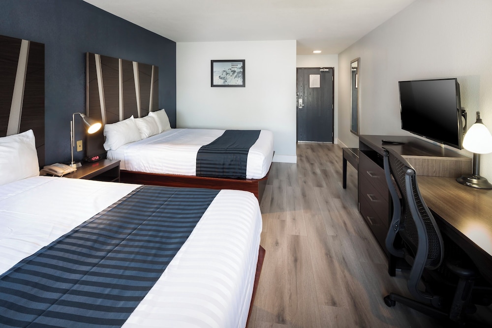 Hotel Mira Vista - photo 23