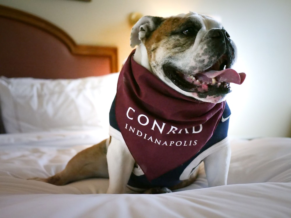 Conrad Indianapolis - photo 25