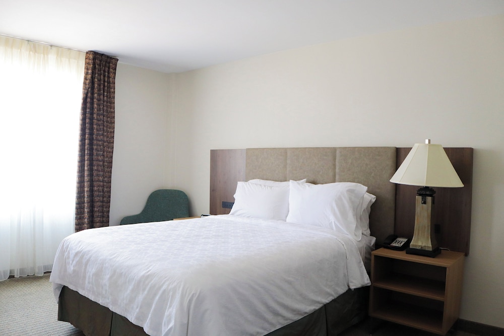 Staybridge Suites Austin Airport by IHG - photo 19