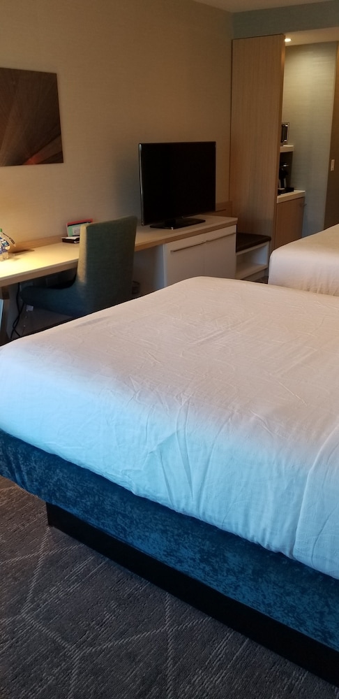 Hilton Garden Inn Colorado Springs Downtown - photo 70