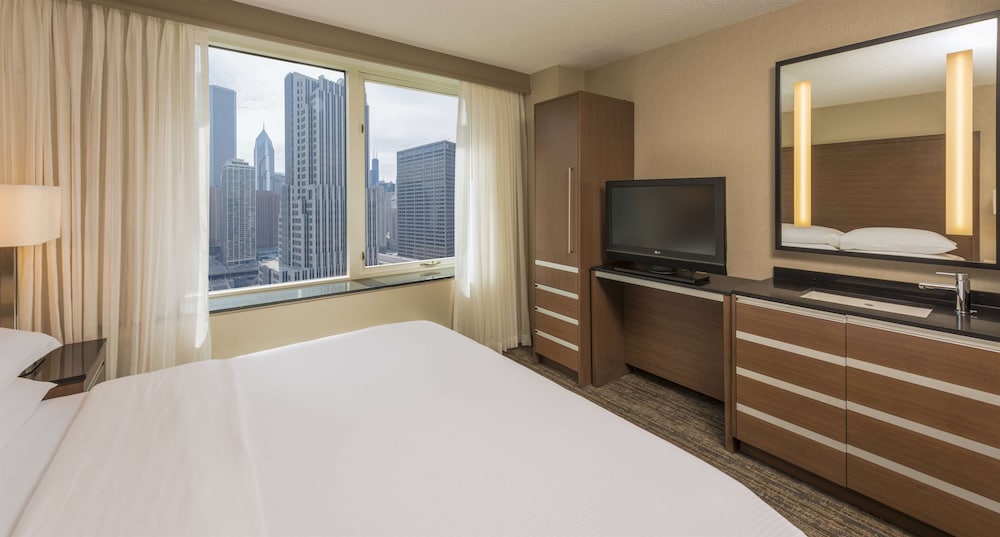 Embassy Suites by Hilton Chicago Downtown Magnificent Mile - photo 15