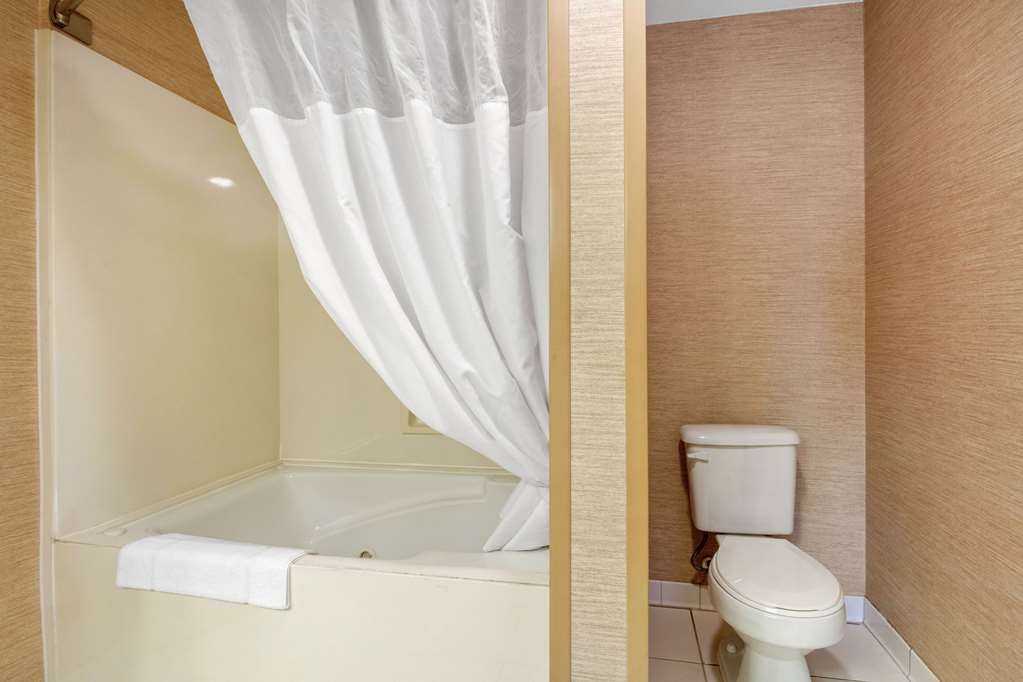 Quality Inn & Suites Benton Draffenville - photo 22