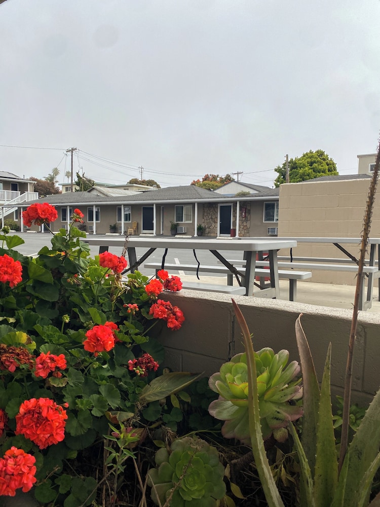 Rockview Inn and Suites - photo 46
