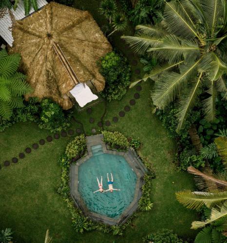 Kumbuh Jungle in Unknown City, Indonesia