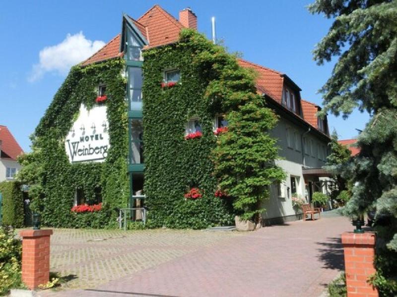 Pension Weinberg Güstrow — Guestrow — photo 3
