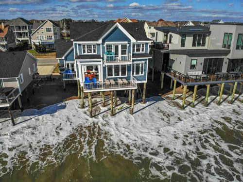 Blue Marlin — Hampton