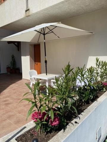 Lacasadisara in Vieste, Italy