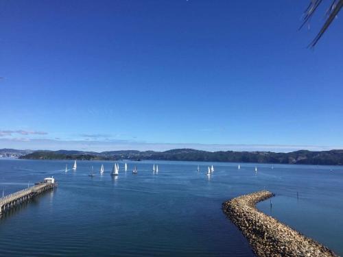 Private 1 bedroom with amazing sea views — 4-Star Luxury Hotel in Lower Hutt, New Zealand