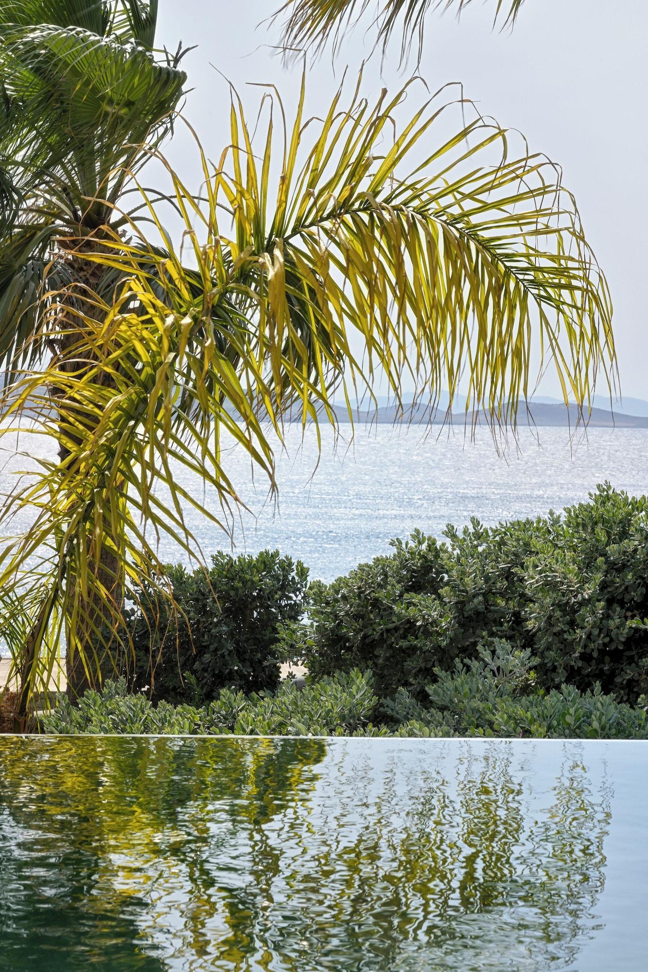 Anax Resort & Spa in Mykonos, Greece