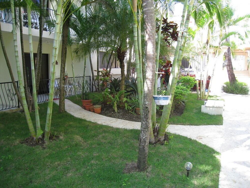Cabaretre Wind chime — Cabarete — photo 5