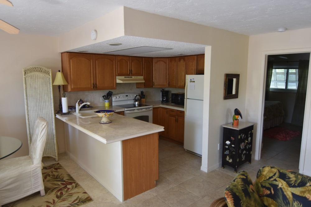 Oasis at John's Pass Madeira Beach - photo 19