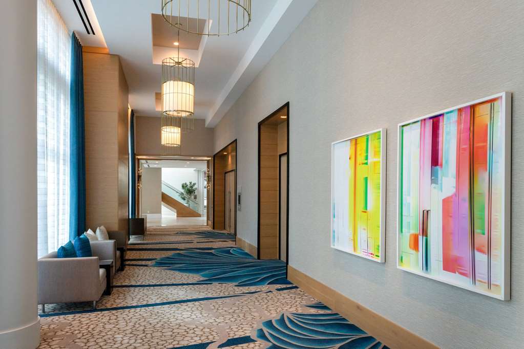 Wyndham Grand Clearwater Beach - photo 12