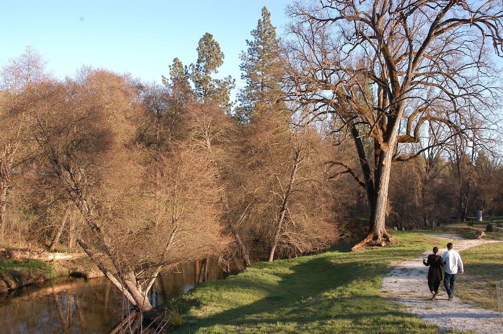 Queen's Inn By the River - photo 27