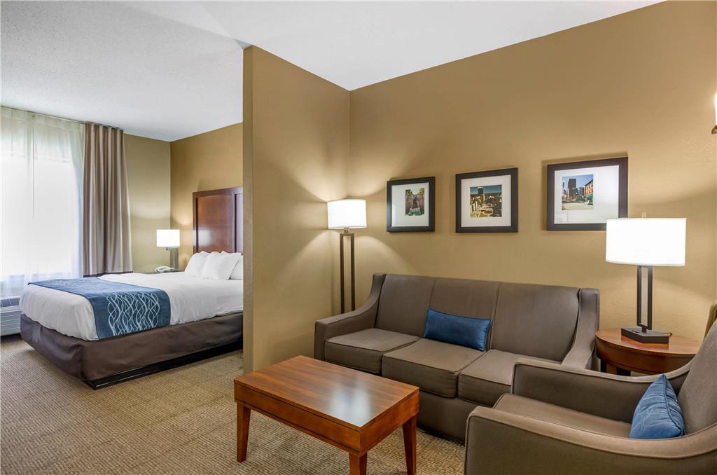 Comfort Inn & Suites Lynchburg Airport University Area - photo 21