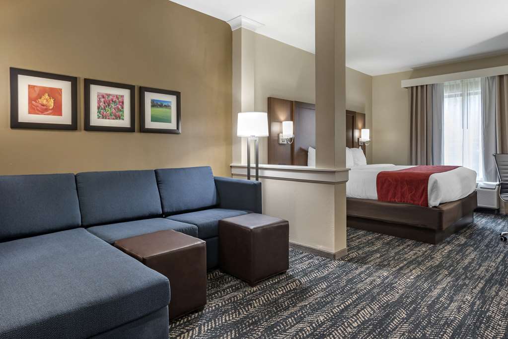 Comfort Inn & Suites Downtown near University - photo 22