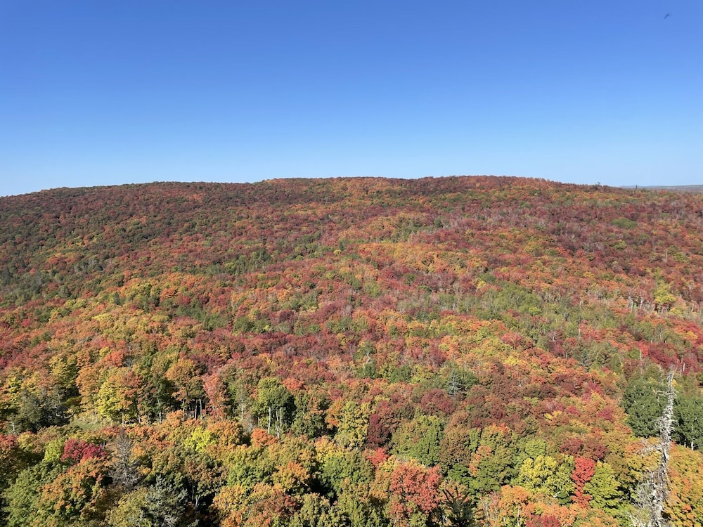 Eagle Ridge Resort At Lutsen - photo 59