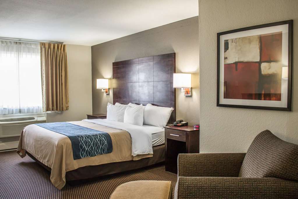 Comfort Inn Sandusky - photo 13