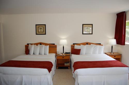 Alcazar Resort Gay Mens Resort - photo 7