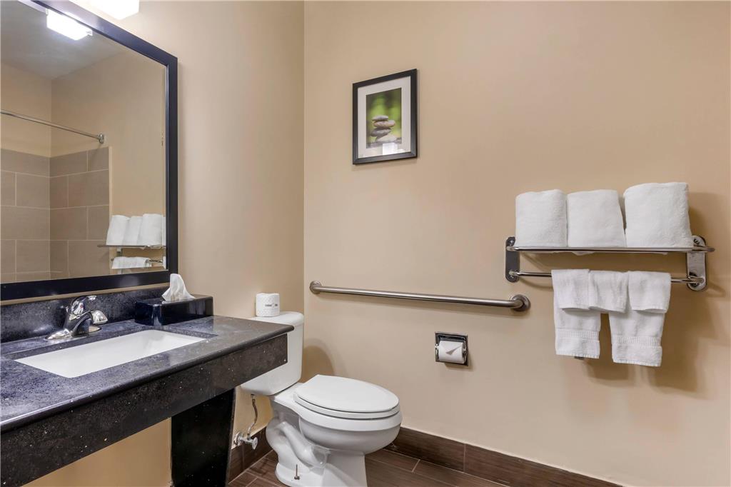 Comfort Suites North Dallas - photo 10