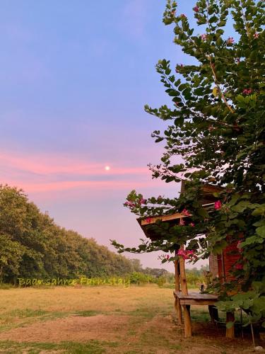 Baansahree Farmstay pet-friendly hotel Lan Sak