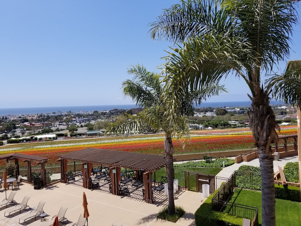 The Cassara Carlsbad Tapestry Collection by Hilton - photo 108
