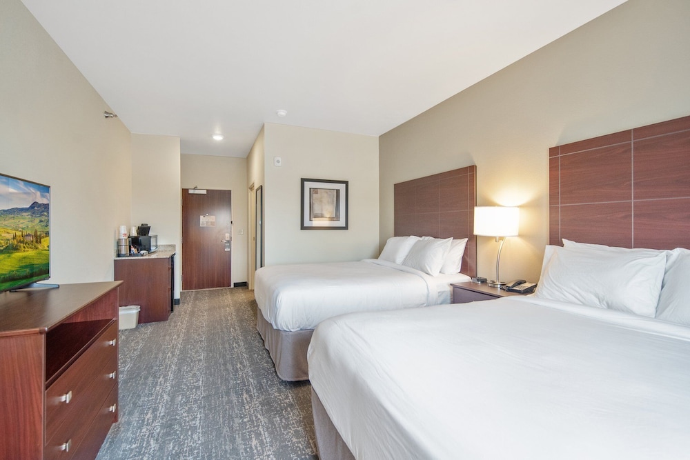 Cobblestone Hotel & Suites Austin - photo 16