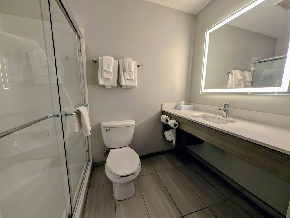 Holiday Inn Express & Suites Carbondale University Area by IHG - photo 13