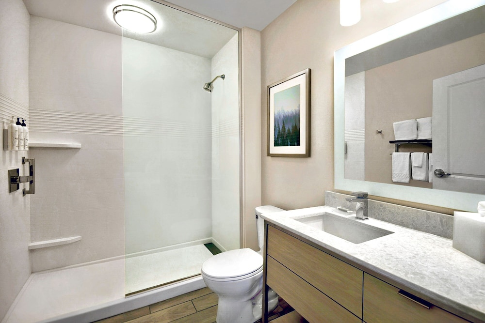 TownePlace Suites by Marriott Asheville West - photo 18