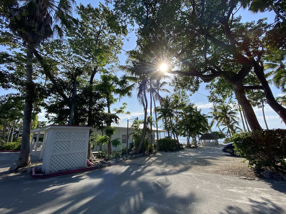 Amoray Dive Resort - photo 117