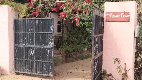 Hotel The Pushkar Flower - carbon neutral hotel in Pushkar