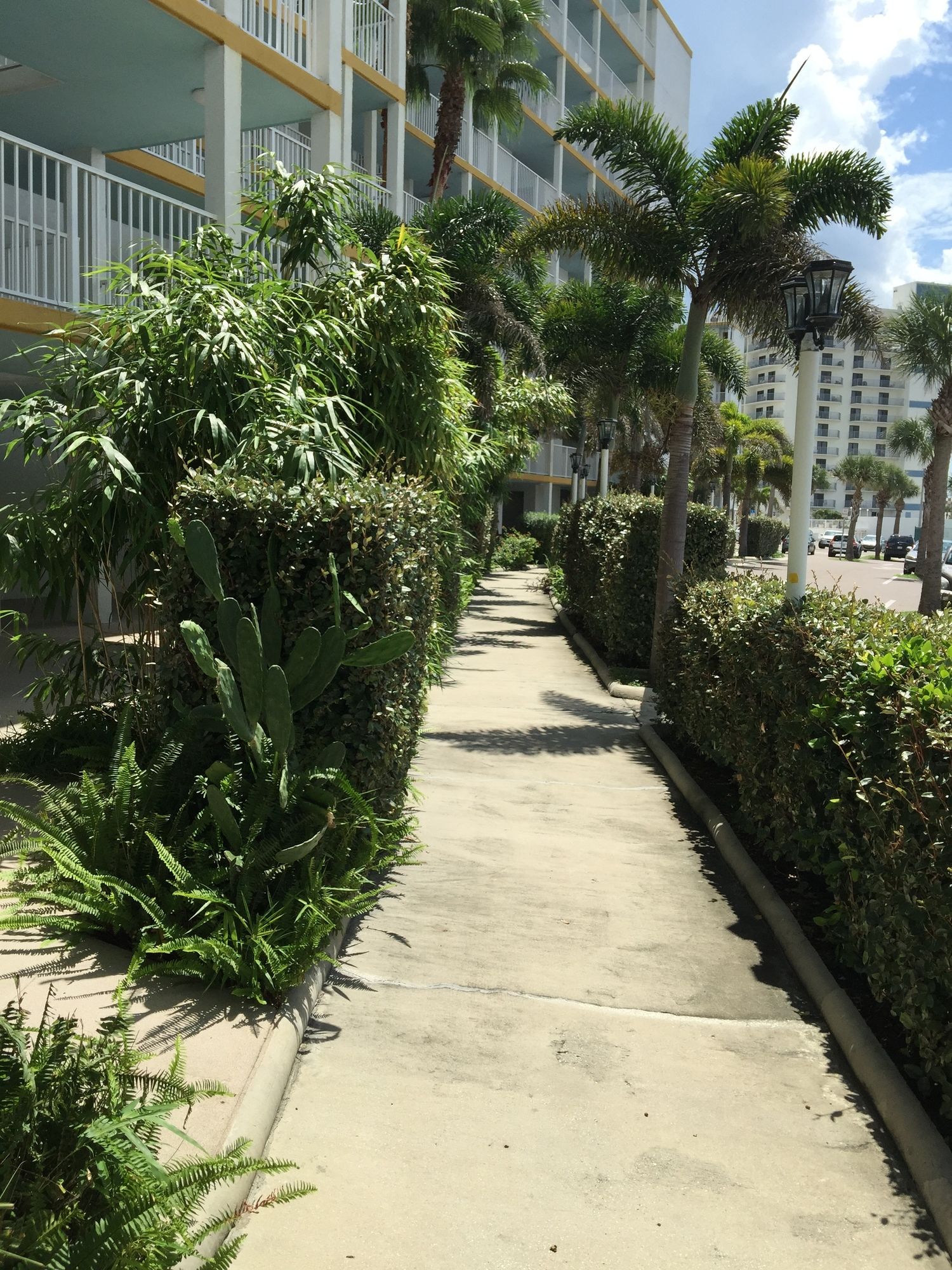 Smyrna Beach Club - photo 48