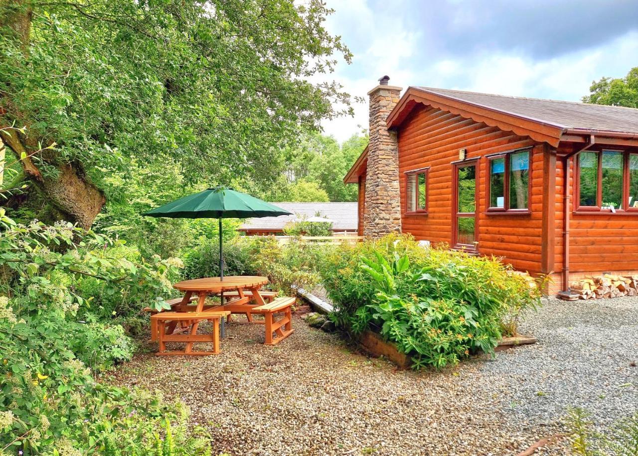 Luxury Wood Lodge with sauna log burner & private woodland garden Wnion Wood Lodge — 4-Star Luxury Hotel in Llanfachraeth, United Kingdom