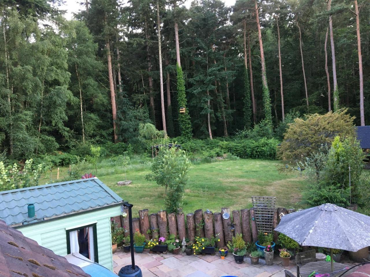 Secluded Woodland Hideaway 2 Bed With Private Parking — Emsworth