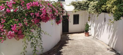 Dimora Sulla Collina — 4-Star Luxury Hotel in Casarano, Italy